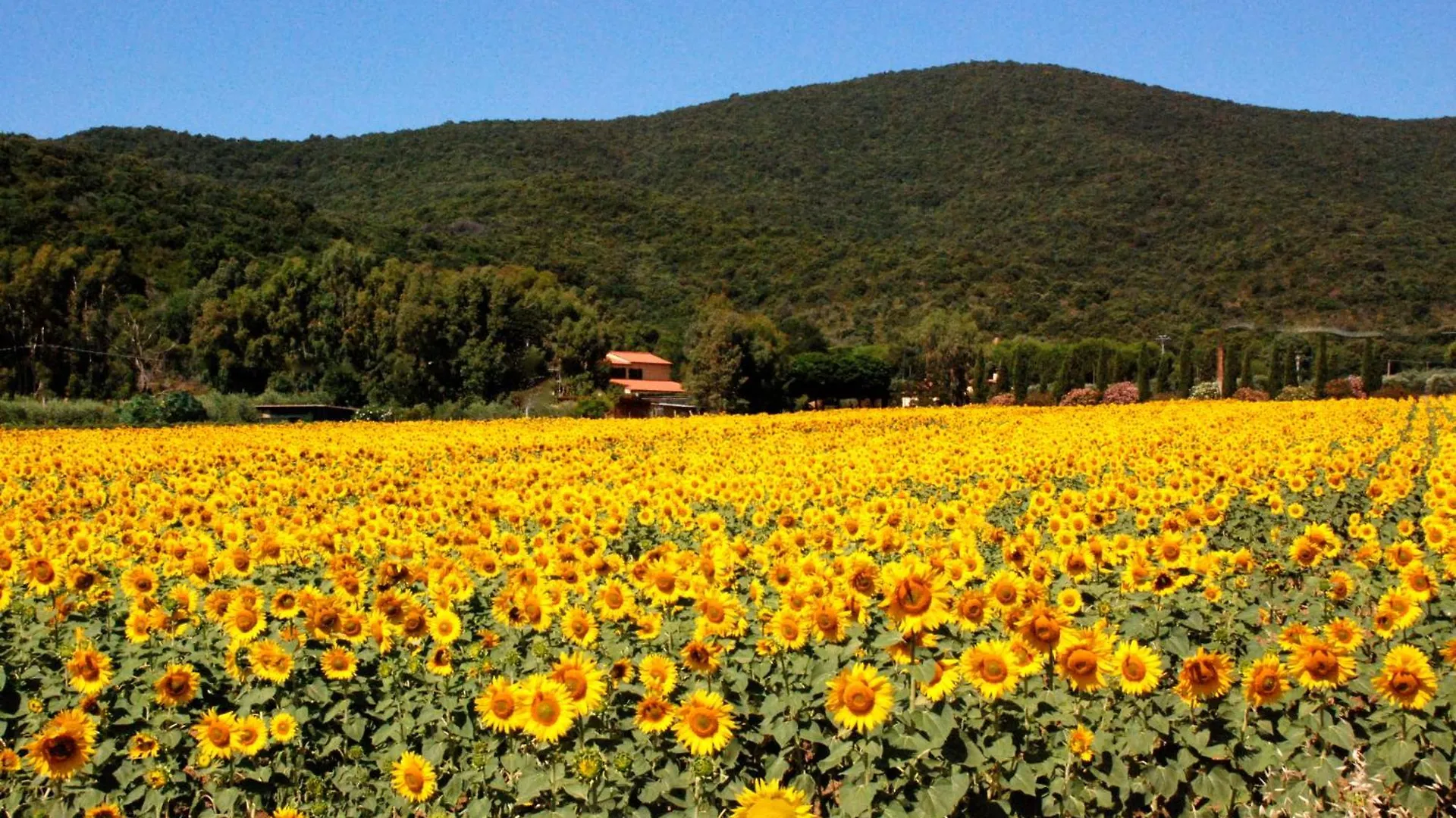 Villa Agriturismo Valborgina à Castiglione della Pescaia